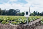 Station météo agricole sans fil